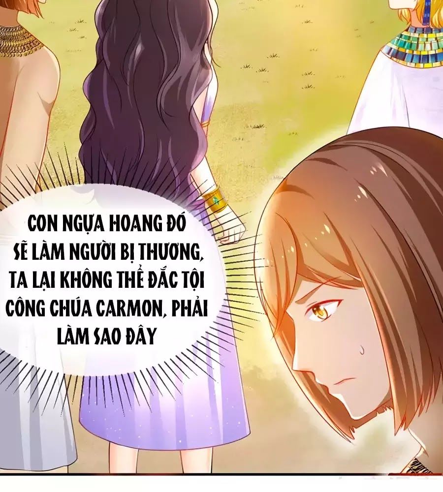 Sủng Hậu Của Vương Chap 2 - Next Chap 3