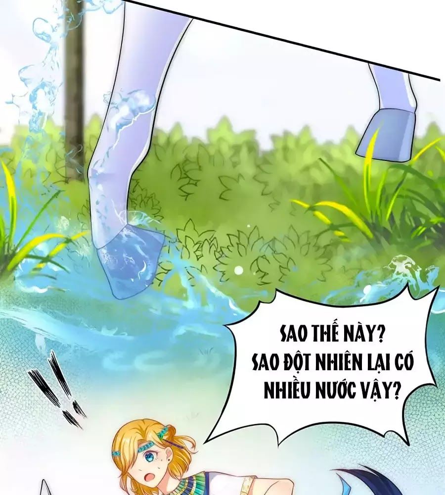 Sủng Hậu Của Vương Chap 2 - Next Chap 3