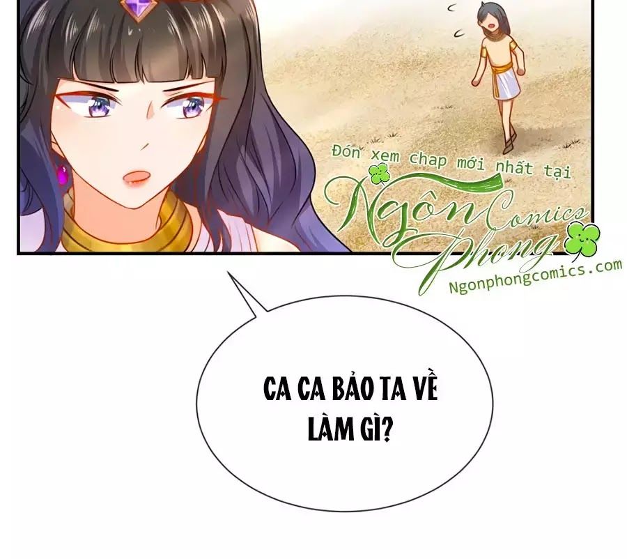 Sủng Hậu Của Vương Chap 3 - Next Chap 4
