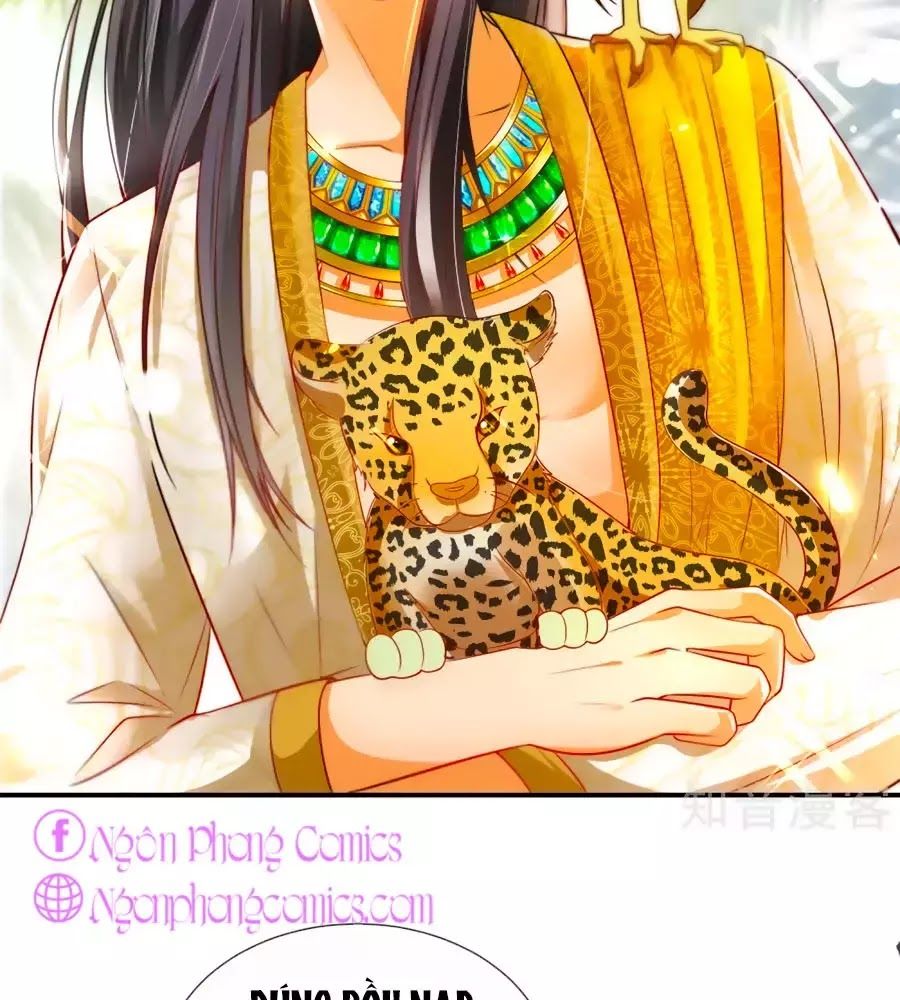 Sủng Hậu Của Vương Chap 4 - Next Chap 5