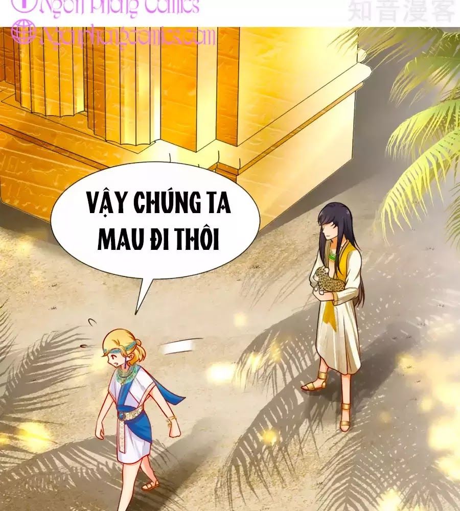 Sủng Hậu Của Vương Chap 4 - Next Chap 5