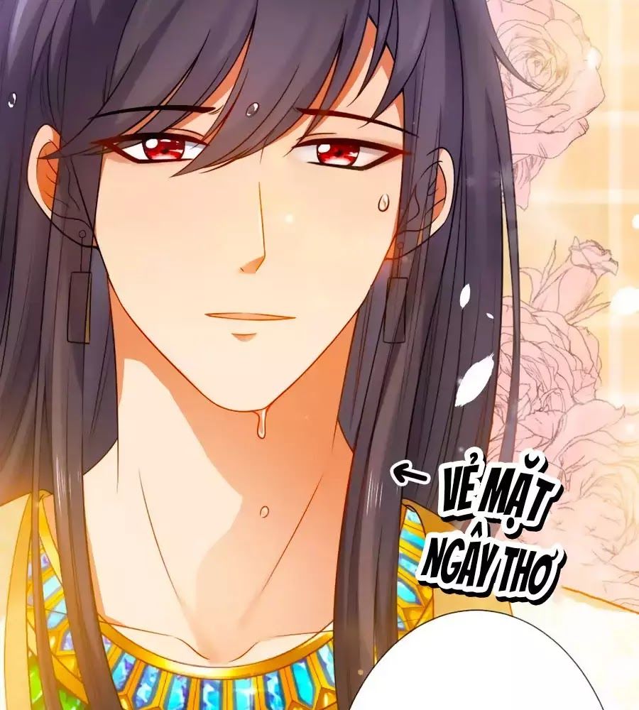 Sủng Hậu Của Vương Chap 5 - Next Chap 6