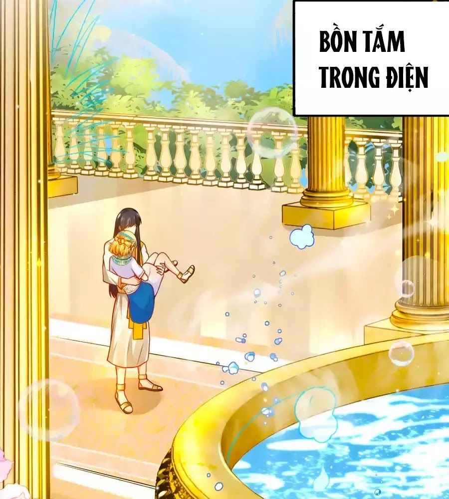 Sủng Hậu Của Vương Chap 5 - Next Chap 6