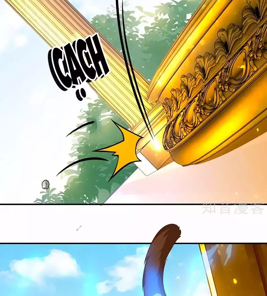Sủng Hậu Của Vương Chap 6 - Next Chap 7