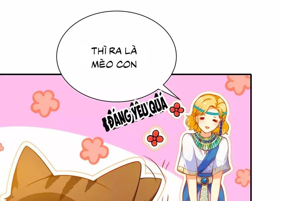 Sủng Hậu Của Vương Chap 6 - Next Chap 7