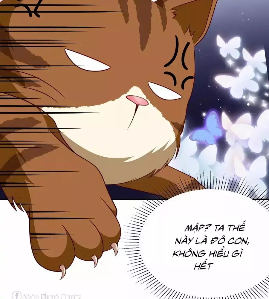 Sủng Hậu Của Vương Chap 6 - Next Chap 7