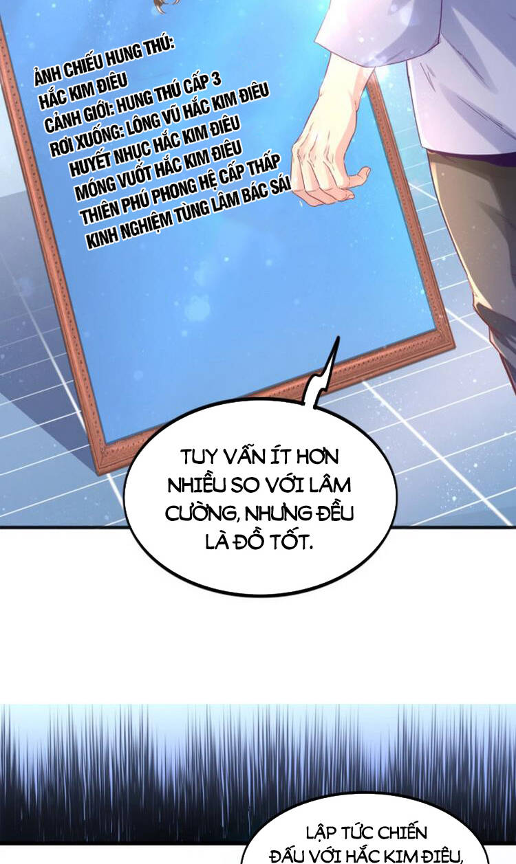 Ta Cày Level Từ Trong Gương Chap 3 - Next Chap 4