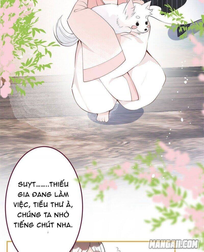 Ta Có Năm Đại Lão Ba Ba Chap 10 - Next Chap 11
