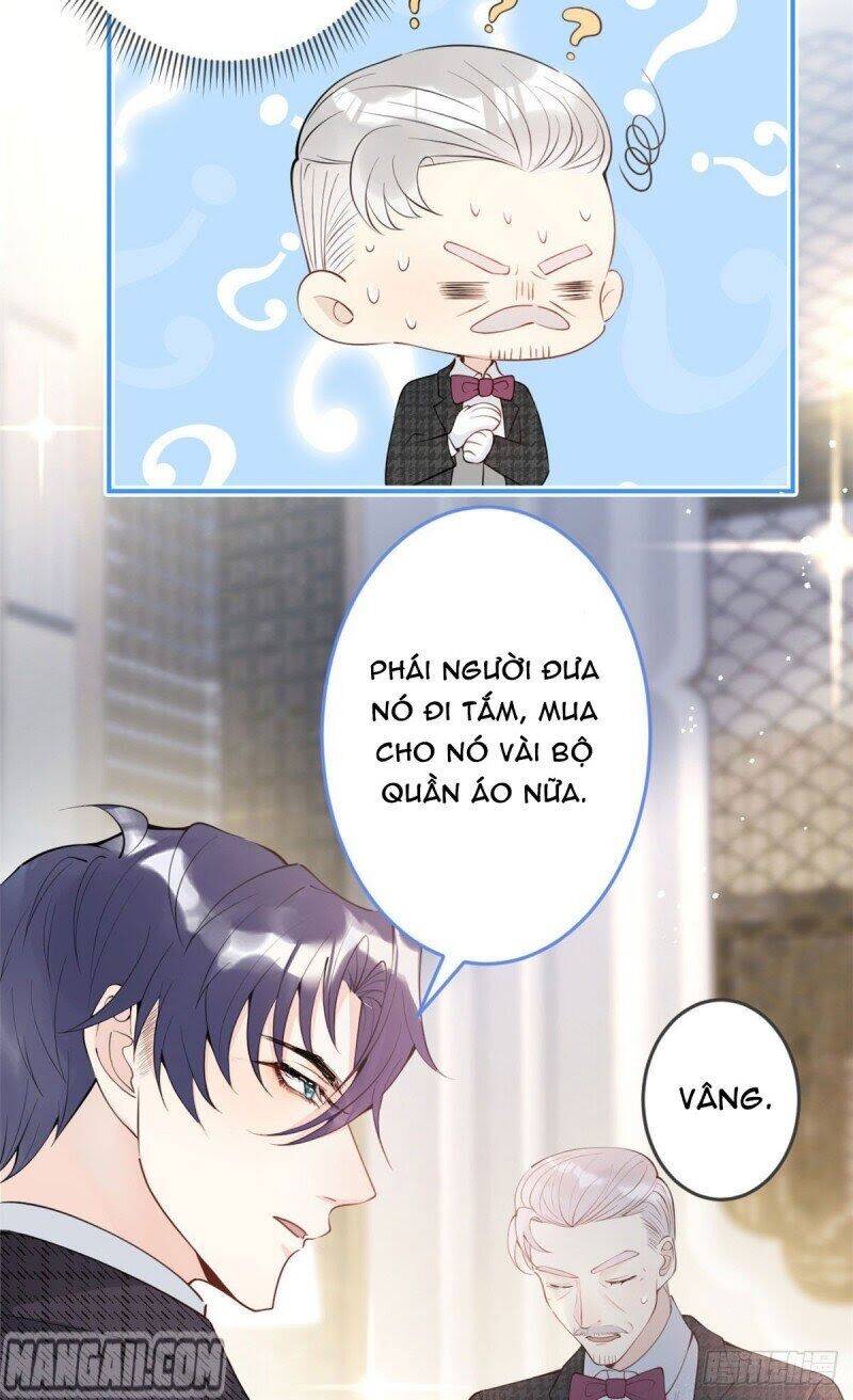 Ta Có Năm Đại Lão Ba Ba Chap 10 - Next Chap 11