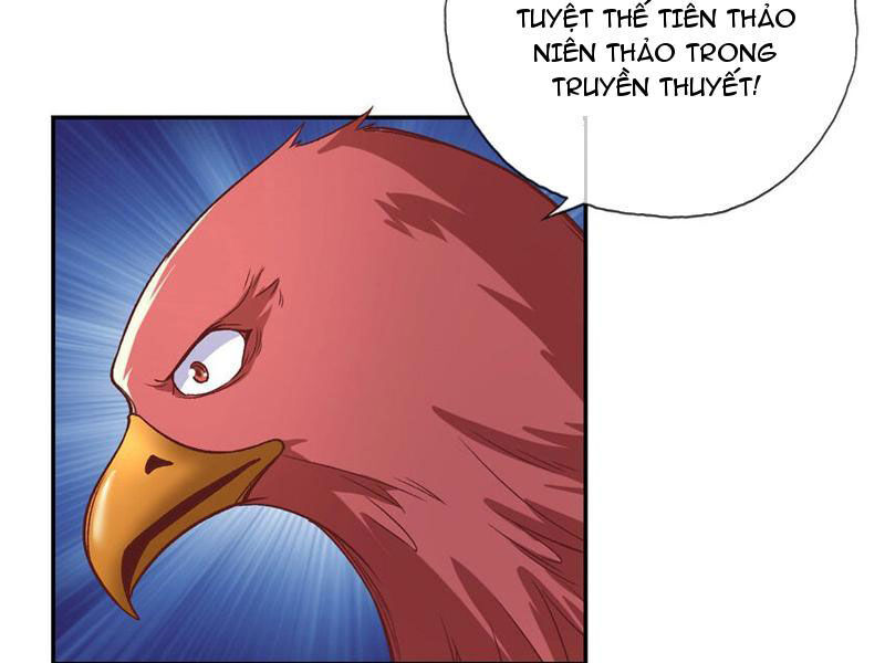 Ta Có Thể Đốn Ngộ Vô Hạn Chap 72 - Next Chap 73