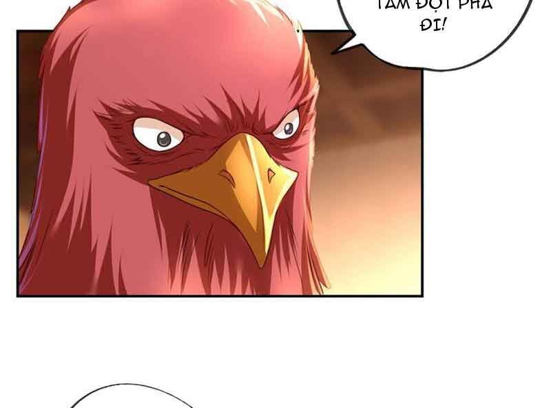 Ta Có Thể Đốn Ngộ Vô Hạn Chap 73 - Next Chap 74