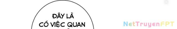 Ta Có Thể Thấy Tỉ Lệ Thành Công Chap 217 - Next Chap 218