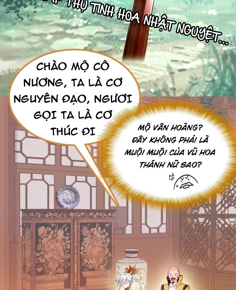 Ta Đây Chính Là Tuyệt Thế Cao Thủ Chap 65 - Next Chap 66
