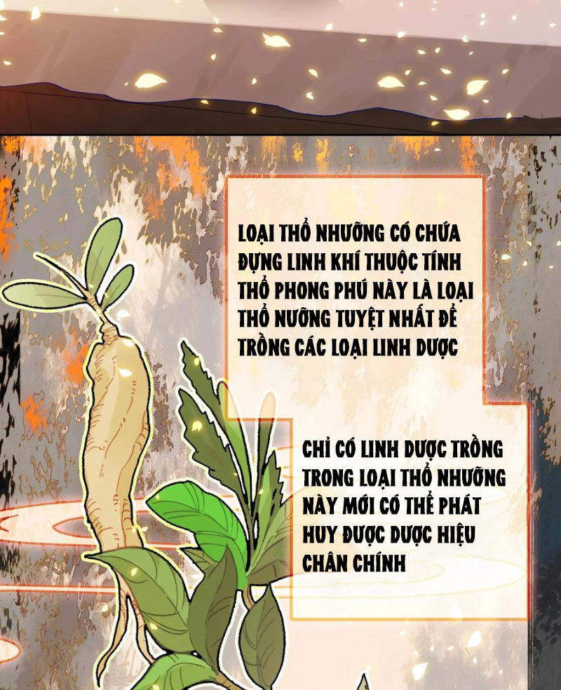 Ta Đây Chính Là Tuyệt Thế Cao Thủ Chap 65 - Next Chap 66