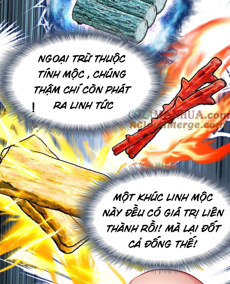 Ta Đây Chính Là Tuyệt Thế Cao Thủ Chap 65 - Next Chap 66