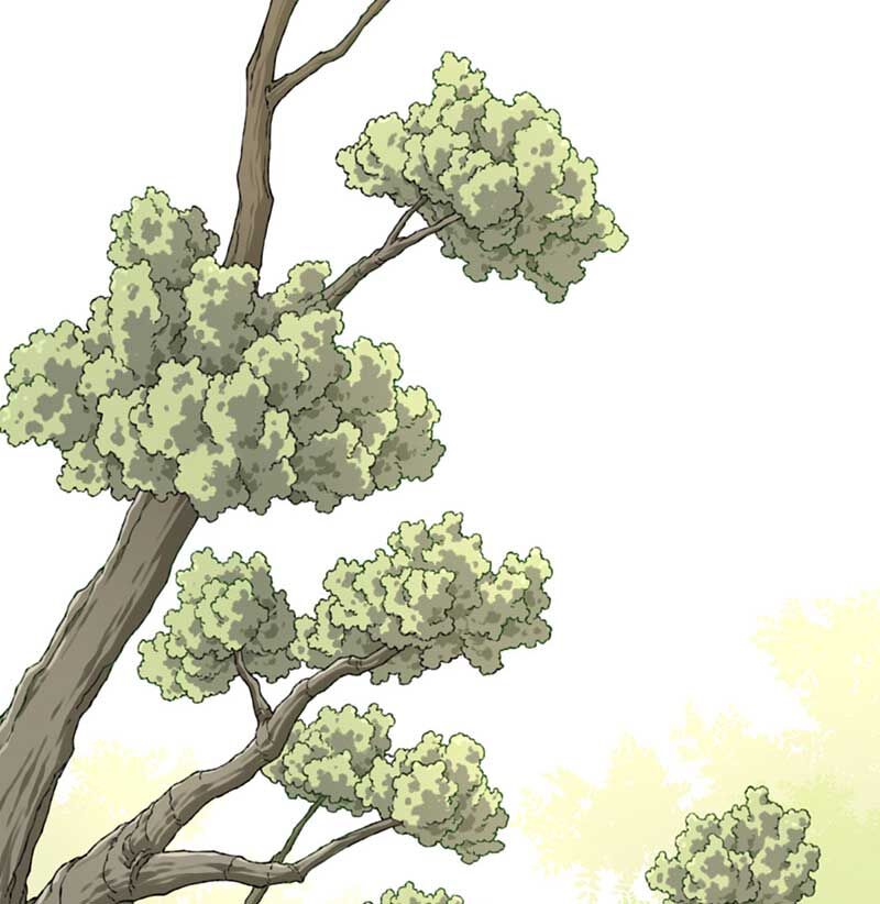 Ta Dùng Cơ Bắp Xưng Bá Tu Tiên Giới Chap 12 - Next Chap 13