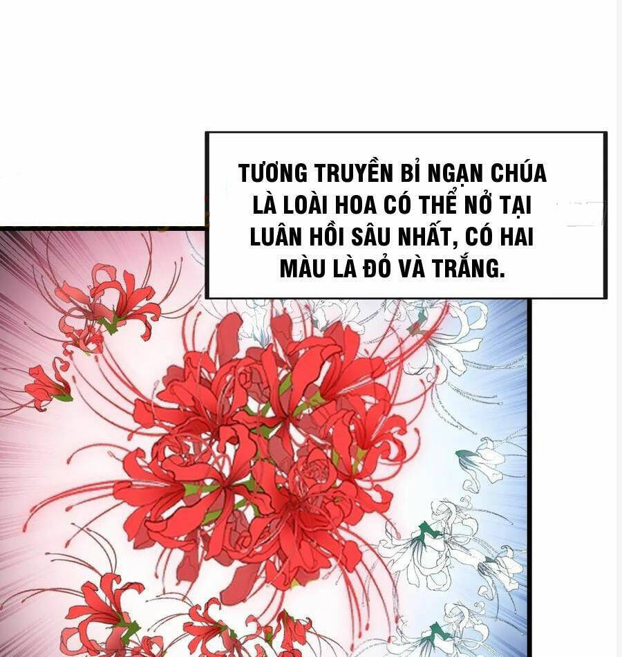 Ta Không Phải Con Cưng Của Khí Vận Chap 222 - Next Chap 223