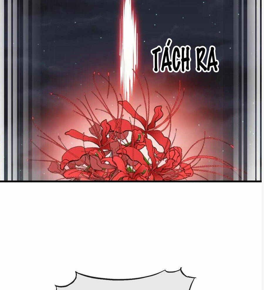 Ta Không Phải Con Cưng Của Khí Vận Chap 223 - Next Chap 224