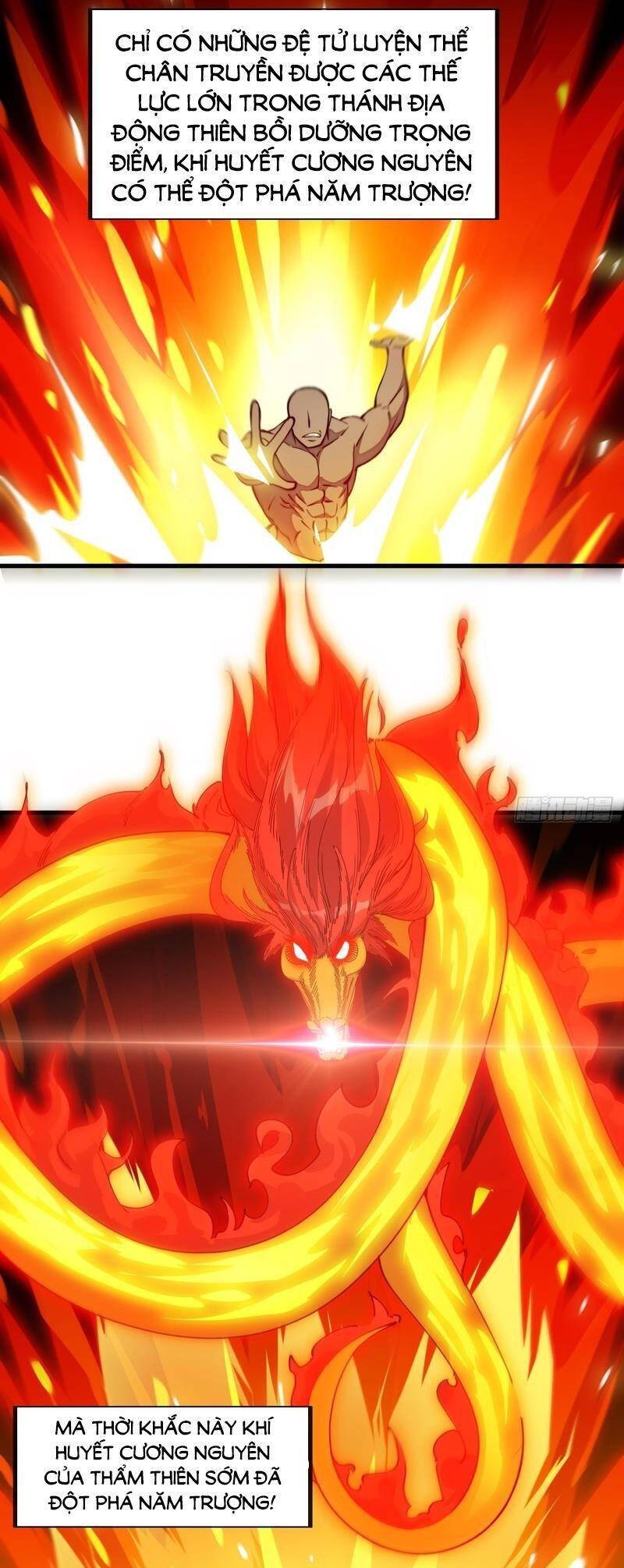 Ta Không Phải Con Cưng Của Khí Vận Chap 99 - Next Chap 100