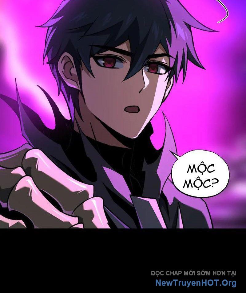 Ta Là Tai Họa Cấp Mục Sư Chap 46 - Next Chap 47