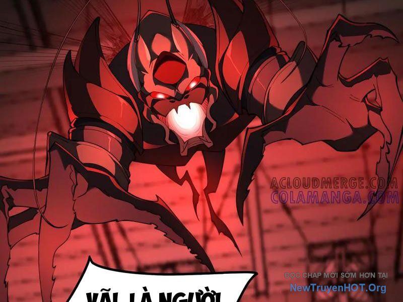 Ta Là Tai Họa Cấp Mục Sư Chap 49 - Next Chap 50