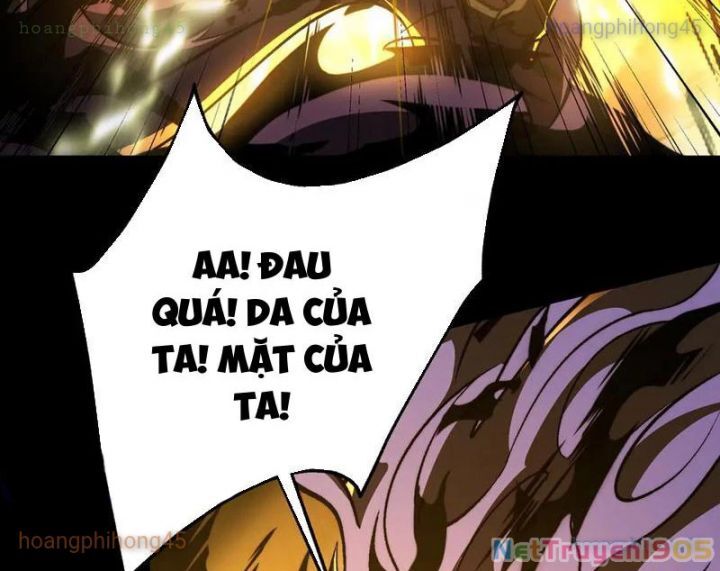 Ta Là Tai Họa Cấp Mục Sư Chap 51 - Next Chap 52