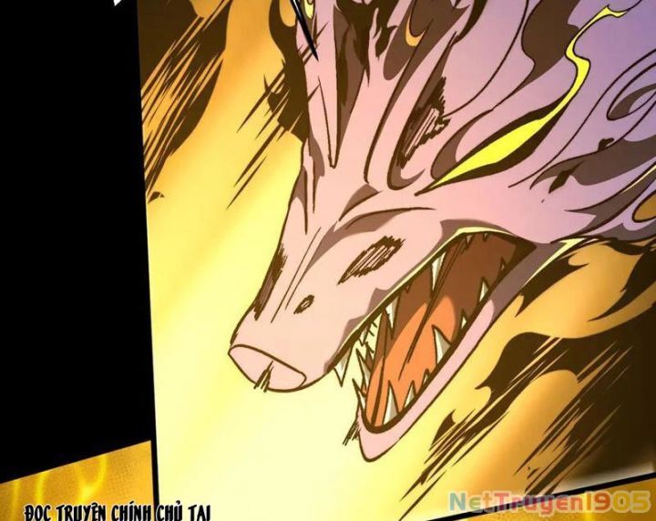 Ta Là Tai Họa Cấp Mục Sư Chap 51 - Next Chap 52