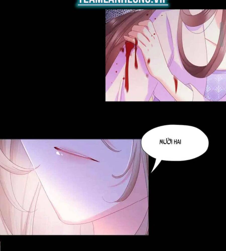 Ta Nằm Vùng Rồi Trở Thành Giáo Chủ Ma Giáo Chap 6 - Next Chap 7