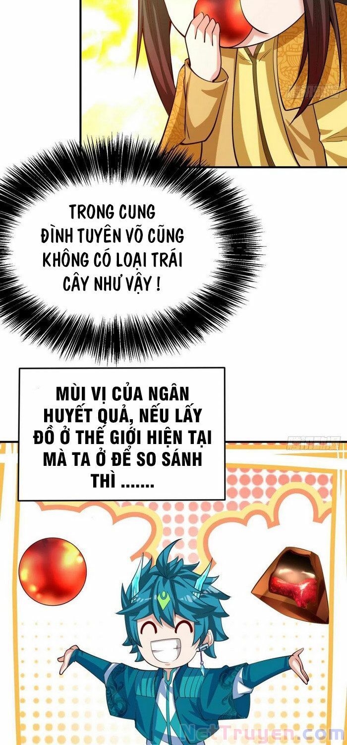 Ta Nhặt Được Thuộc Tính Tại Tu Chân Giới Chap 105 - Next Chap 106