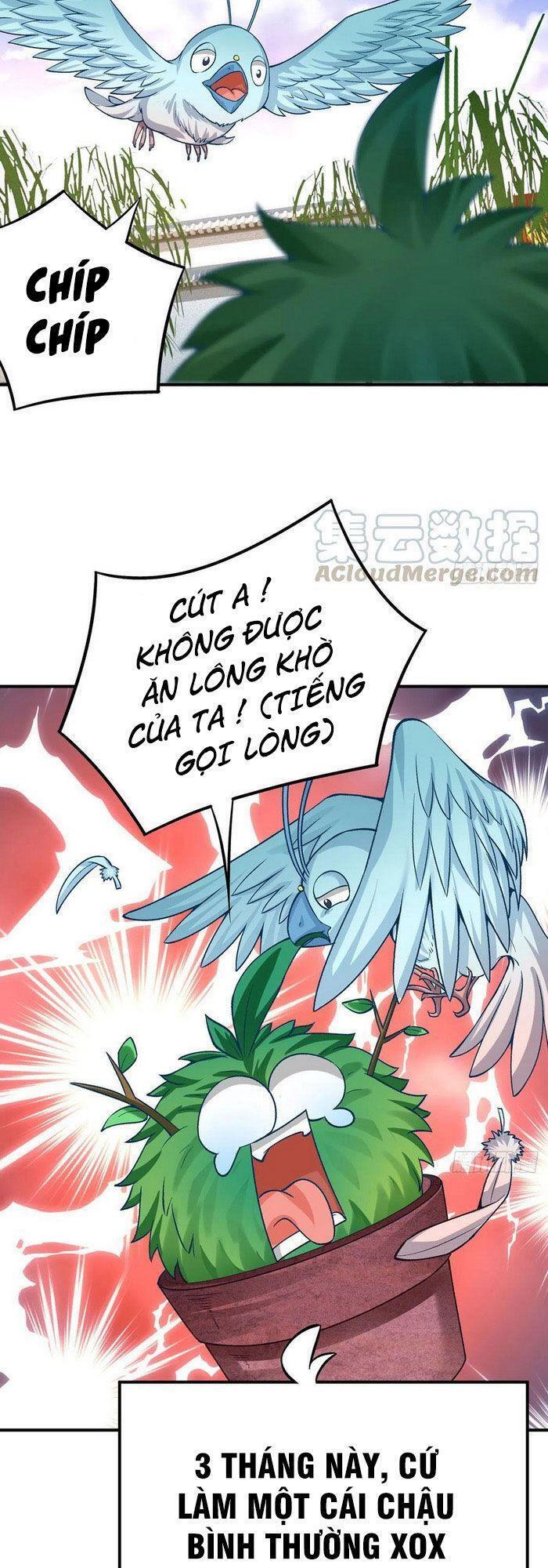 Ta Nhặt Được Thuộc Tính Tại Tu Chân Giới Chap 107 - Next Chap 108