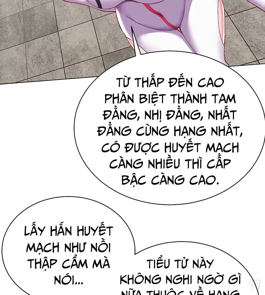 Ta Nhặt Được Thuộc Tính Tại Tu Chân Giới Chap 213 - Next Chap 214
