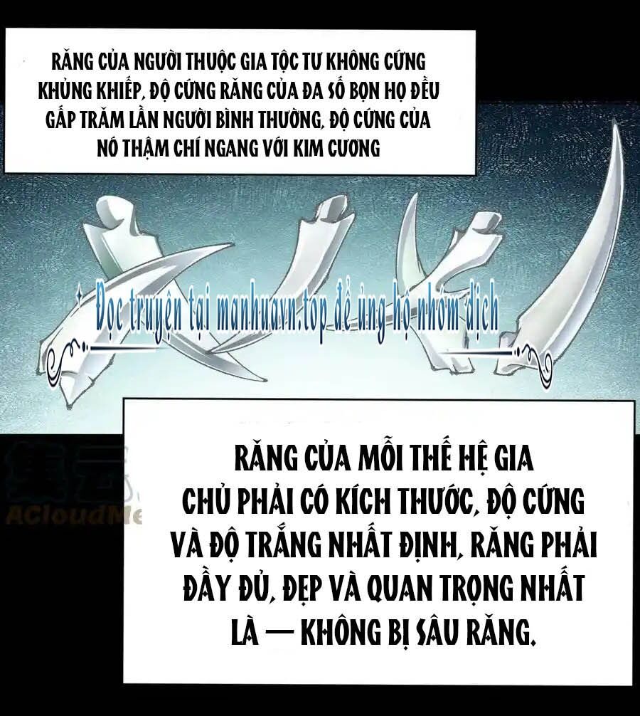 Ta Nhặt Được Thuộc Tính Tại Tu Chân Giới Chap 249 - Next Chap 250