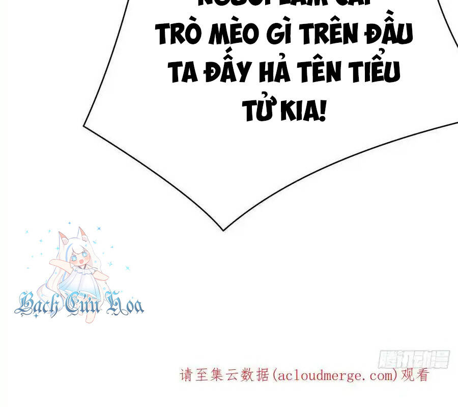 Ta Nhặt Được Thuộc Tính Tại Tu Chân Giới Chap 275 - Next Chap 276