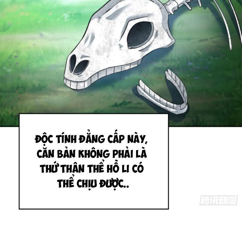 Ta Nhặt Được Thuộc Tính Tại Tu Chân Giới Chap 74 - Next Chap 75