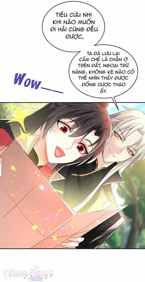 Ta Ở Dị Giới Nuôi Dưỡng Nam Thần: Thần Y Cửu Tiểu Thư Chap 128 - Next Chap 129