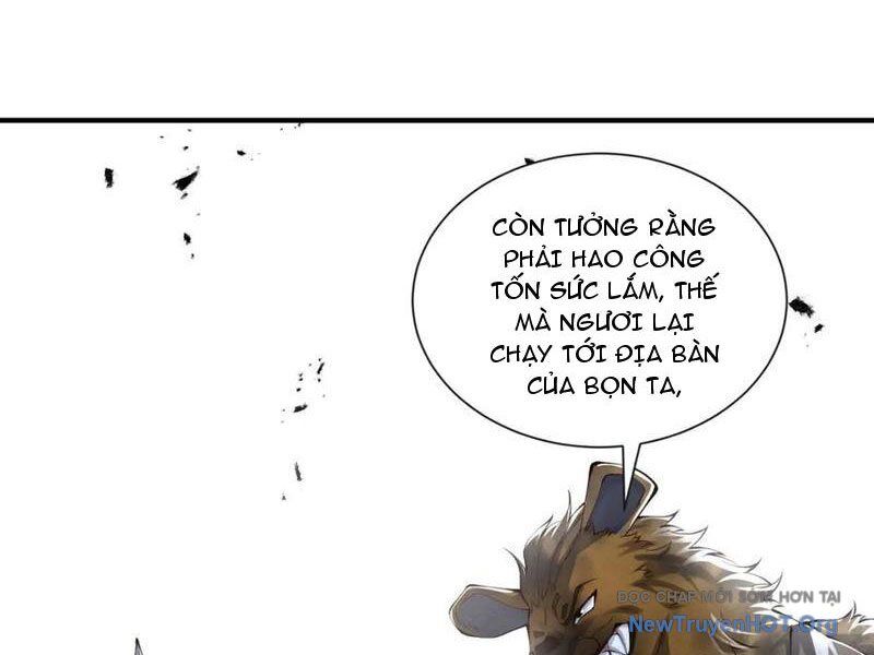 Ta Thăng Cấp Cùng Tai Ách Chap 41 - Next Chap 42