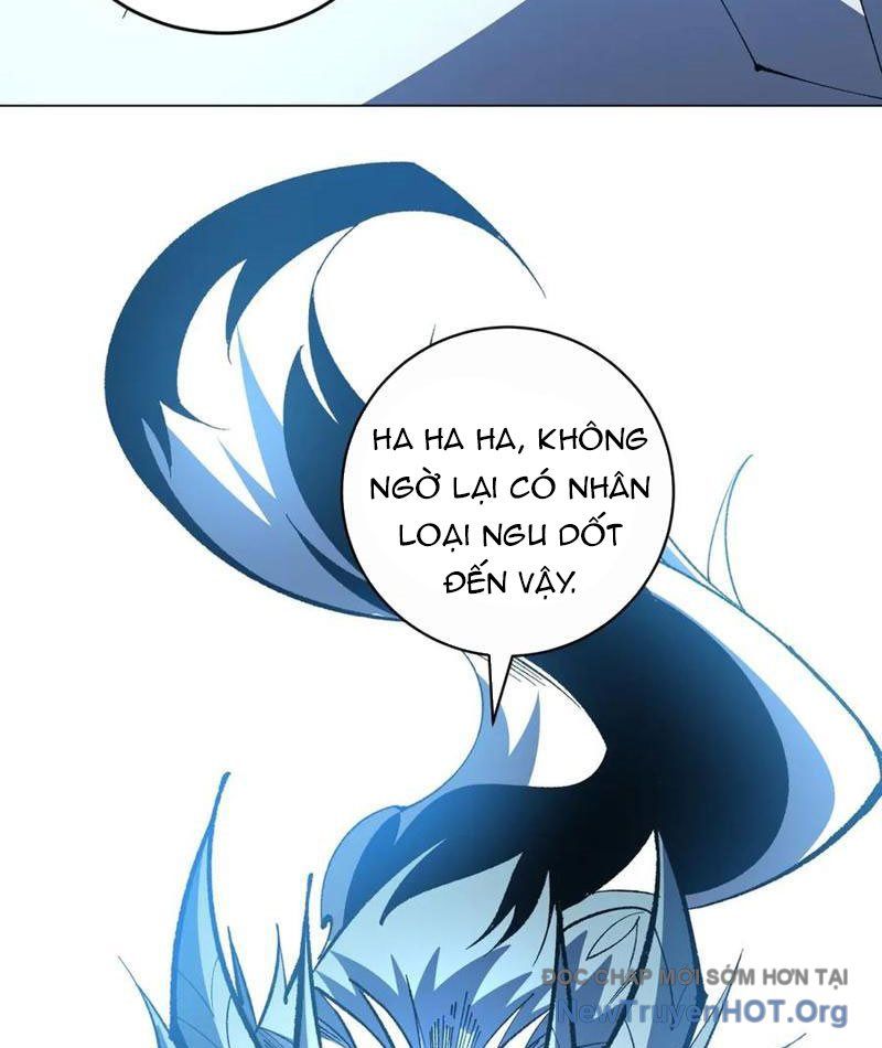 Ta Thành Vương Giả Từ Khắc Kim Chap 40 - Next Chap 41
