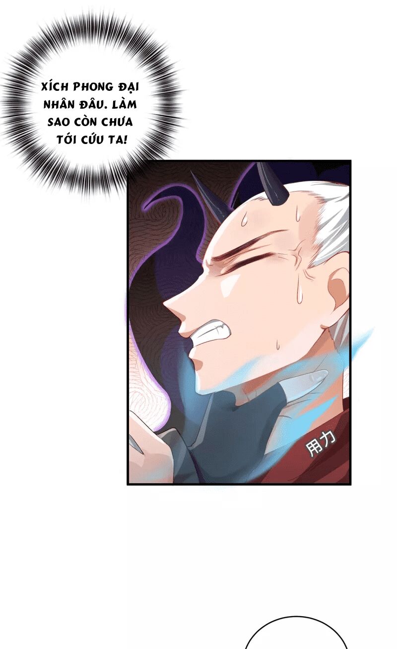 Ta Vốn Là Mèo Chap 10 - Next Chap 11