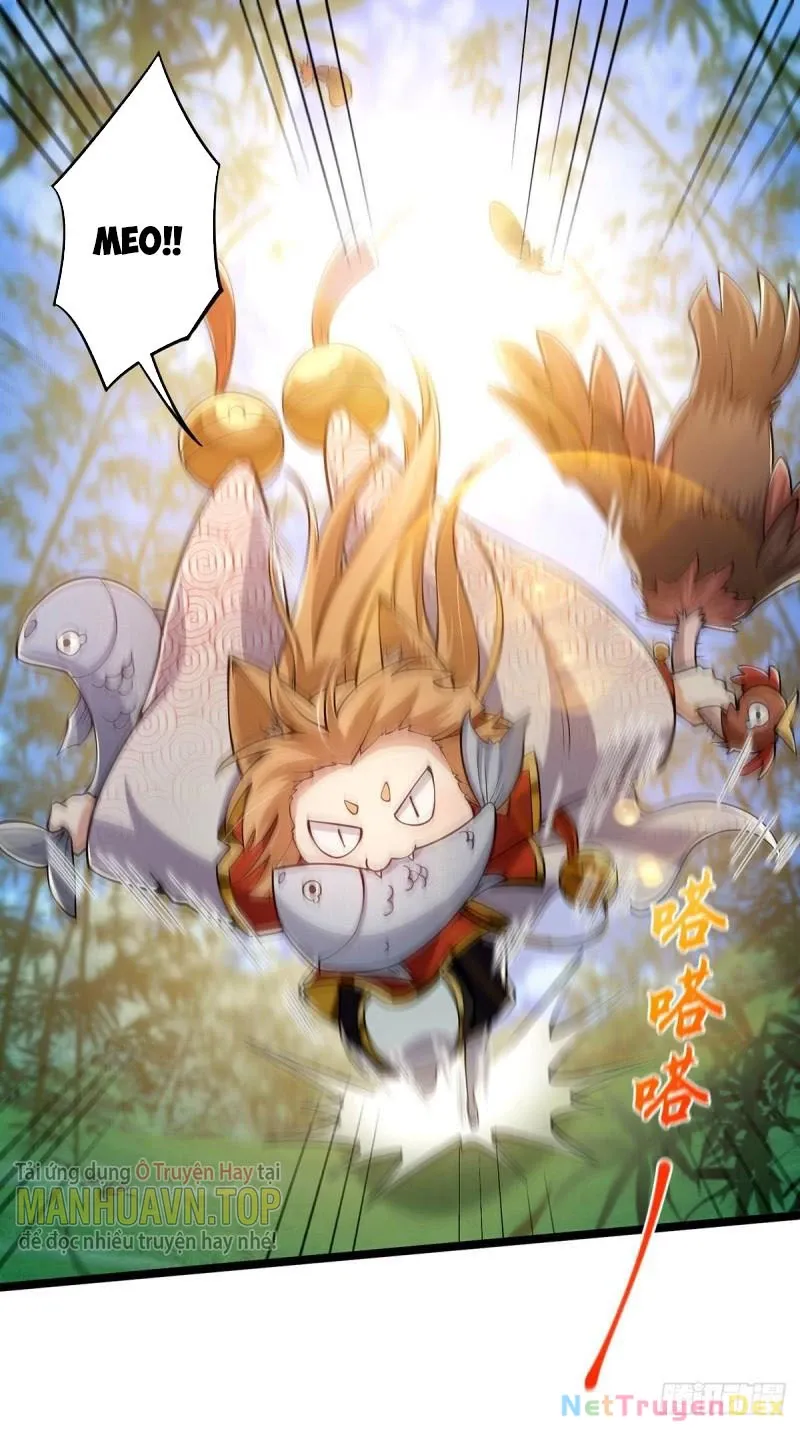 Ta Xuyên Không Với Max Điểm Mị Lực Chap 22 - Next Chap 23