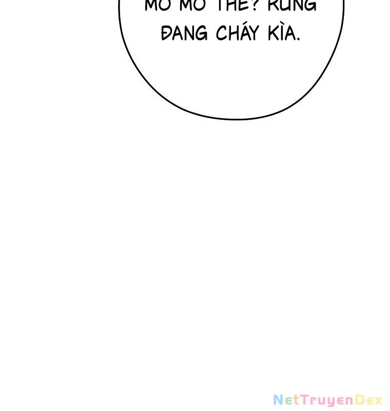 Tái Thiết Hầm Ngục Chap 231 - Next Chap 232
