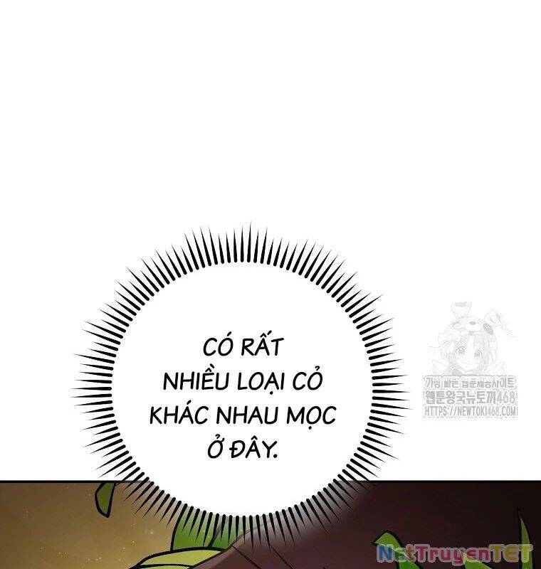 Tái Thiết Hầm Ngục Chap 235 - Next Chap 236