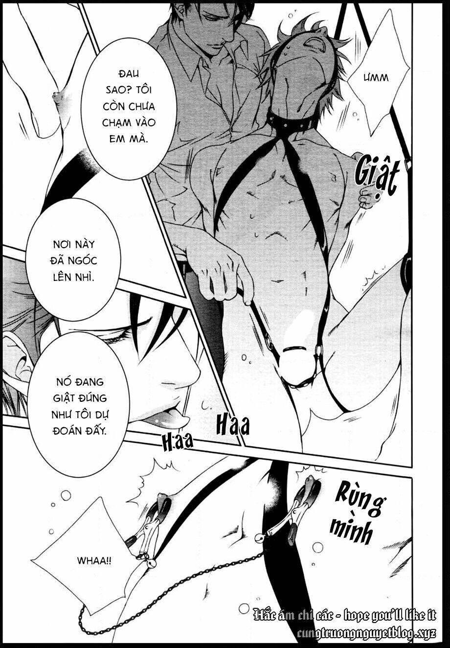 Tầm Ngắm Chap 845 - Next Chap 846