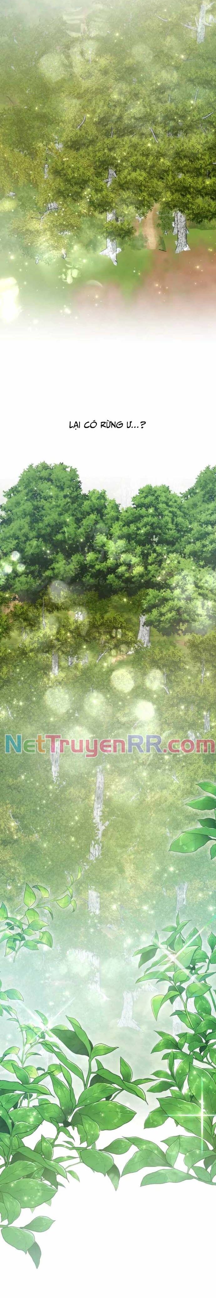 Tăng Lực Thợ Săn Chap 96 - Next Chap 97