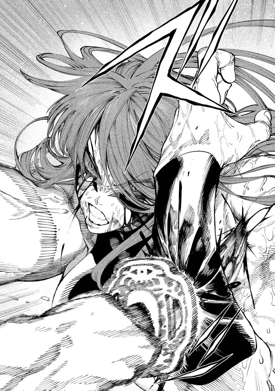 Tenkaichi - Thiên Hạ Đệ Nhất Võ Sĩ Đại Hội Chap 12 - Next Chap 13