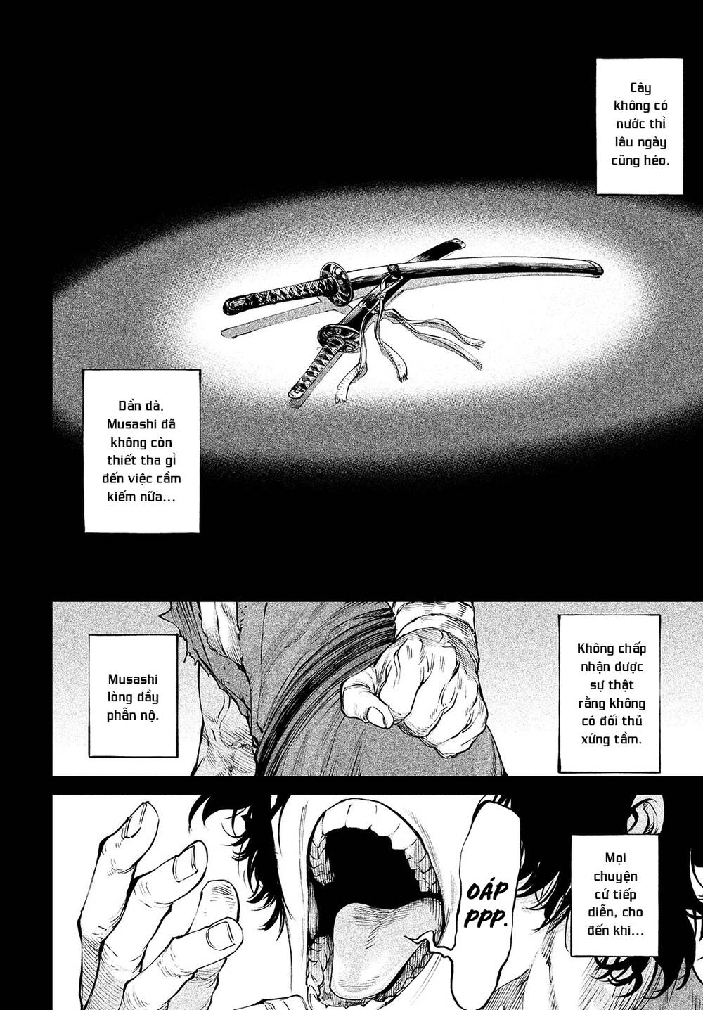 Tenkaichi - Thiên Hạ Đệ Nhất Võ Sĩ Đại Hội Chap 3 - Next Chap 4