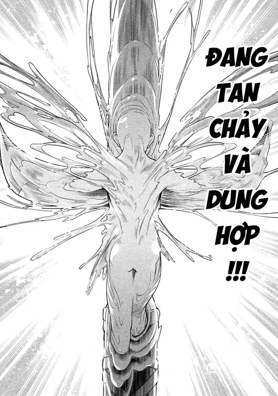 Tenkaichi - Thiên Hạ Đệ Nhất Võ Sĩ Đại Hội Chap 45 - Next Chap 46