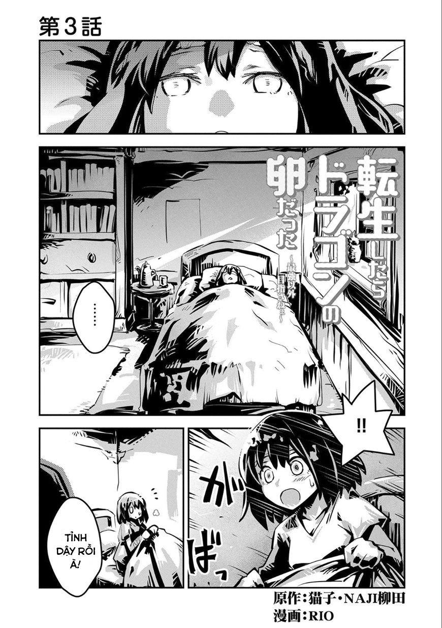 Tensei Shitara Dragon No Tamago Datta - Saikyou Igai Chap 3 - Next Chap 4