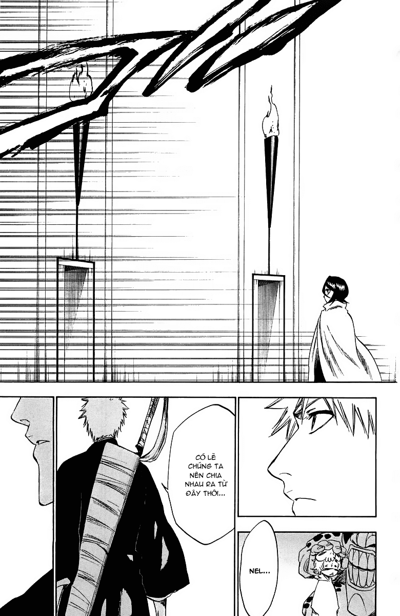 Thần Chết Ichigo Chap 248 - Next Chap 249