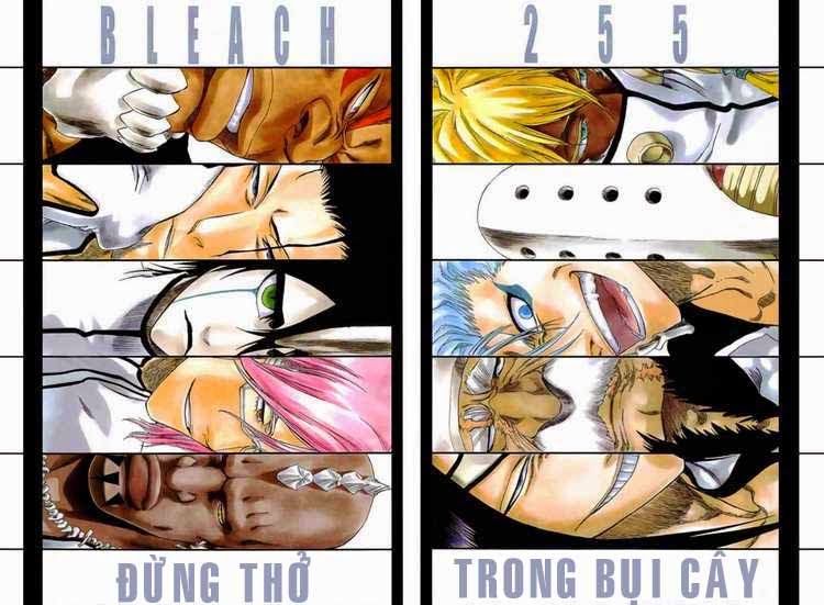 Thần Chết Ichigo Chap 255 - Next Chap 256