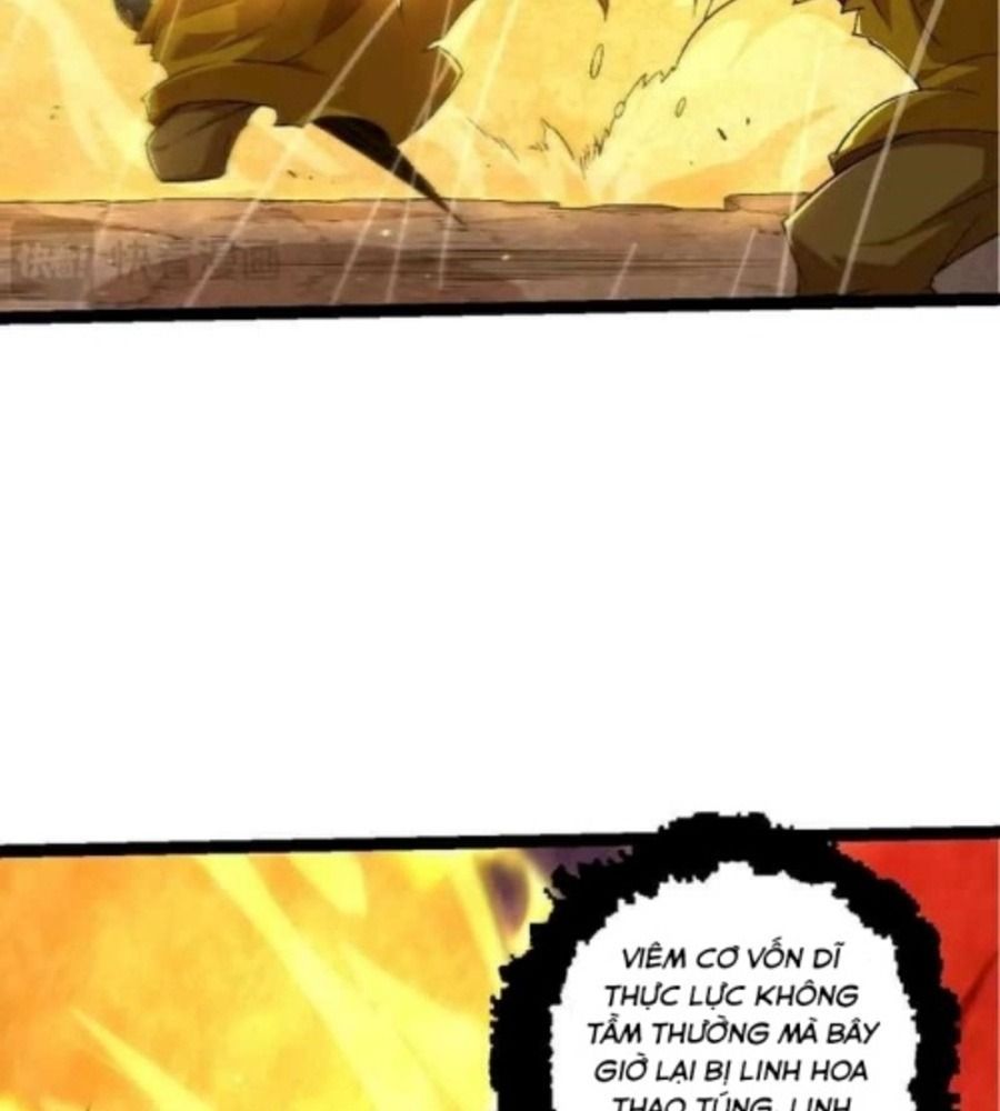 Thăng Cấp Bắt Đầu Từ Một Cái Cây Chap 104 - Next Chap 105